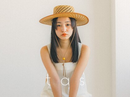 タス(tas)の写真