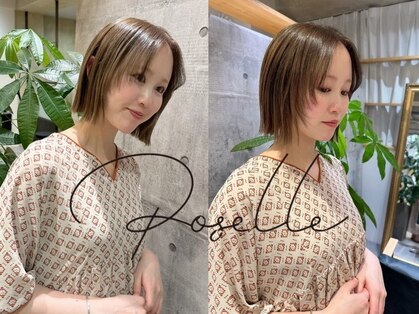 ローゼル(roselle)の写真