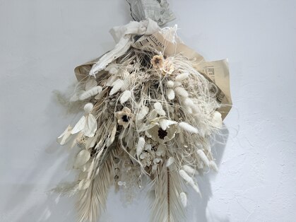 ノア(noa)の写真