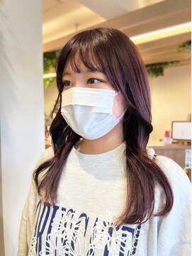 リサプラン(RISA plan) ラベンダーカラー/ボルドーカラー/イエベカラー/春色