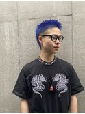 マレットヘアブルー