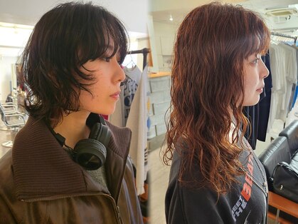 マカロニコースト(macaroni coast)の写真