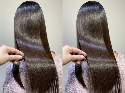 トライアンフ(TriumpH)の写真