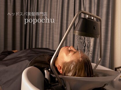 ポポシュ(popochu)の写真