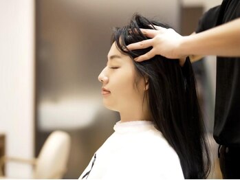 アイヴァンキャトル山野愛子 東陽町イースト21モール店の写真/一人一人それぞれの方に合わせてご提案!頭皮の汚れを除去し、髪のハリコシUP☆健康的な髪を手に入れて…。