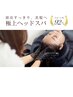 シャンプーブロー+ヘッドスパ15分+トリートメント　￥6000 指名不可