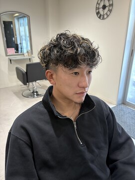 ガーベラ(gerbera) スペインカール×ハイライト