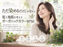 ザカラー 蘇我ベイフロント店(TheColor)