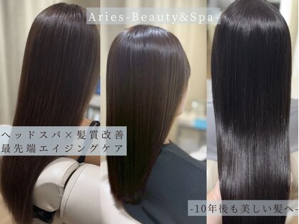 アリエス(Aries)の写真