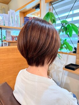 エデル(ederux) ハンサムショート