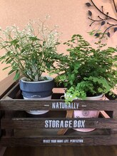 美容室ティービーケー 清瀬店(TBK)&nbsp;内山 