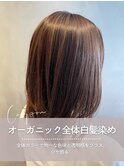 オーガニック全体白髪染め