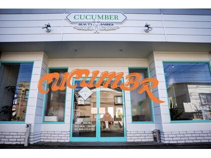 キューカンバー(CUCUMBER)の写真