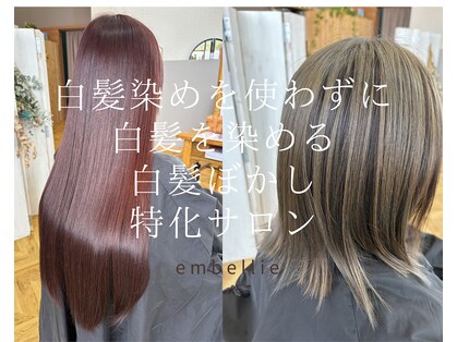 アンベリー(embellie)の写真