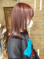 オーストヘアーベンヌ(Aust hair Bennu) ピンクブラウンカラー