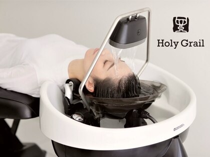 ホーリーグレイル(Holy grail)の写真