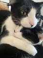 ラックスビー プレミアム 大阪駅前第3ビル店(LUXBE PREMIUM) 猫飼ってます!毎日癒しをもらってます♪♪