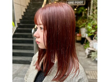 カスミ 霞(KASUMI)の写真