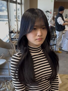 テラバイルヴェール 各務原(TERRA by LeVert) ブルーブラック韓国ヘア