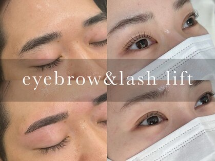 ディティカ ティア(Dityca tia)の写真