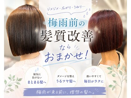 ジエクト ヴィシア(The Ect VIXIA)の写真