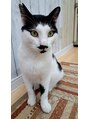 ルナ 大船店(LUNA) 動物が好きです(´-`*)猫カフェに癒されに行ったりします♪