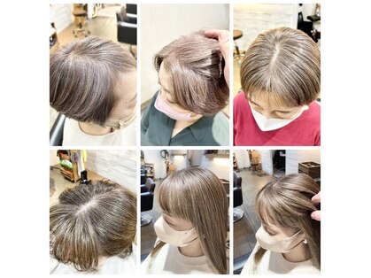 ノーチラスヘア(nautilus hair)の写真