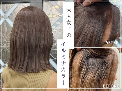 カミシツジの写真