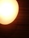 ハチ(08)の写真/木の温もりや自然光を大切にしています