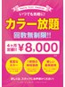 ★カラー定額制チケット★4ヶ月間使用上限6回までOK ￥8800
