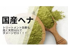 ヴァンファミリー アピタ福井飯塚店(Vanfamily)の雰囲気(福井では当店だけ! 国内生産国内加工の 純国産ヘナの取り扱い)