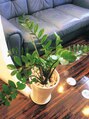 アイビイ(ivy) 店内も家も緑がいっぱいです。