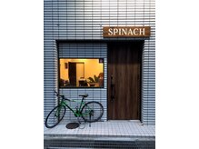 スピナッチ(Spinach)