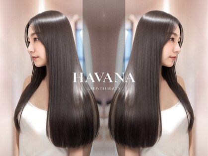 ハバナ 立川(HAVANA)の写真