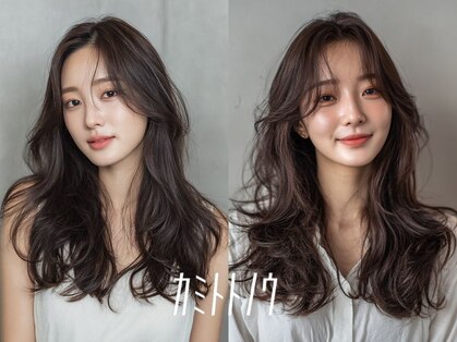 カミトトノウの写真