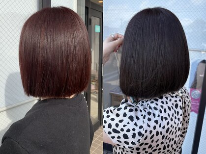 ボンドヘアー(Bond Hair)の写真