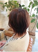 伸ばしかけウルフ