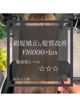 ヴィオラスバイポッシュ ギンザ(Violus by Posh GINZA) 絹髪矯正by髪質改善