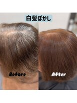 リド 館出店(LIDO) 白髪ぼかしカラー