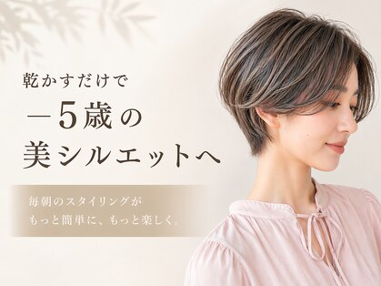 ヨール(YOL)の写真