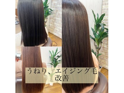 ライムヘアービューティフィー(Lime hair beautify)の写真