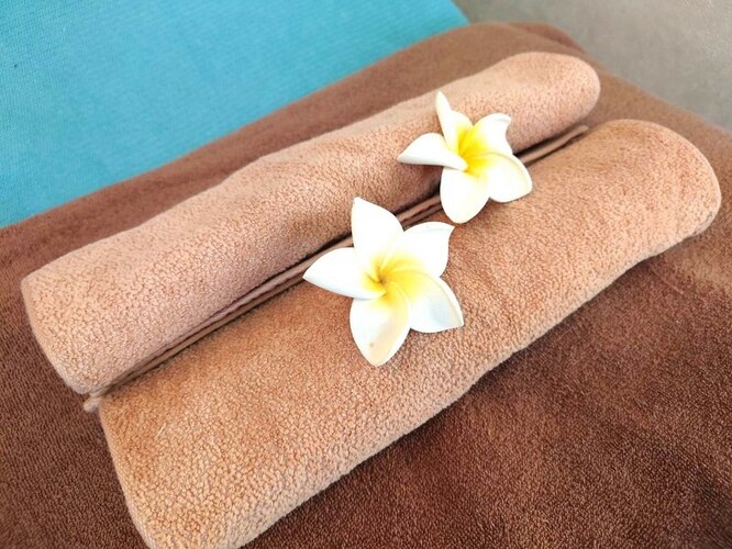 ぺたんこプルメリア まくれる 30個セット 