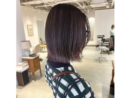 サン(son’)の写真