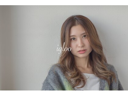 イグルー(igloo)の写真