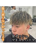 金メッシュ/ツイストパーマ/マッシュ