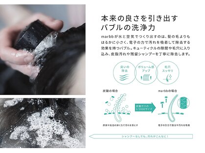 イゾラ(isola)の写真