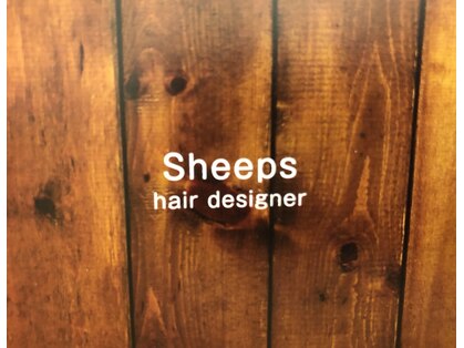 シープス(Sheeps)の写真