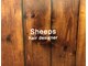 シープス(Sheeps)の写真