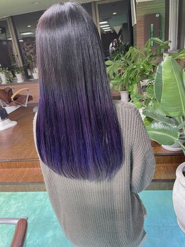 ビアージュ(Viage) :ハーフグラデーションカラー　:塩基性カラー　:パープル