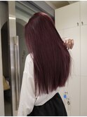 カシスカラー/暖色カラー/ロングヘア/艶髪/ダブルカラー/銀座